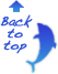 ページトップへ戻る